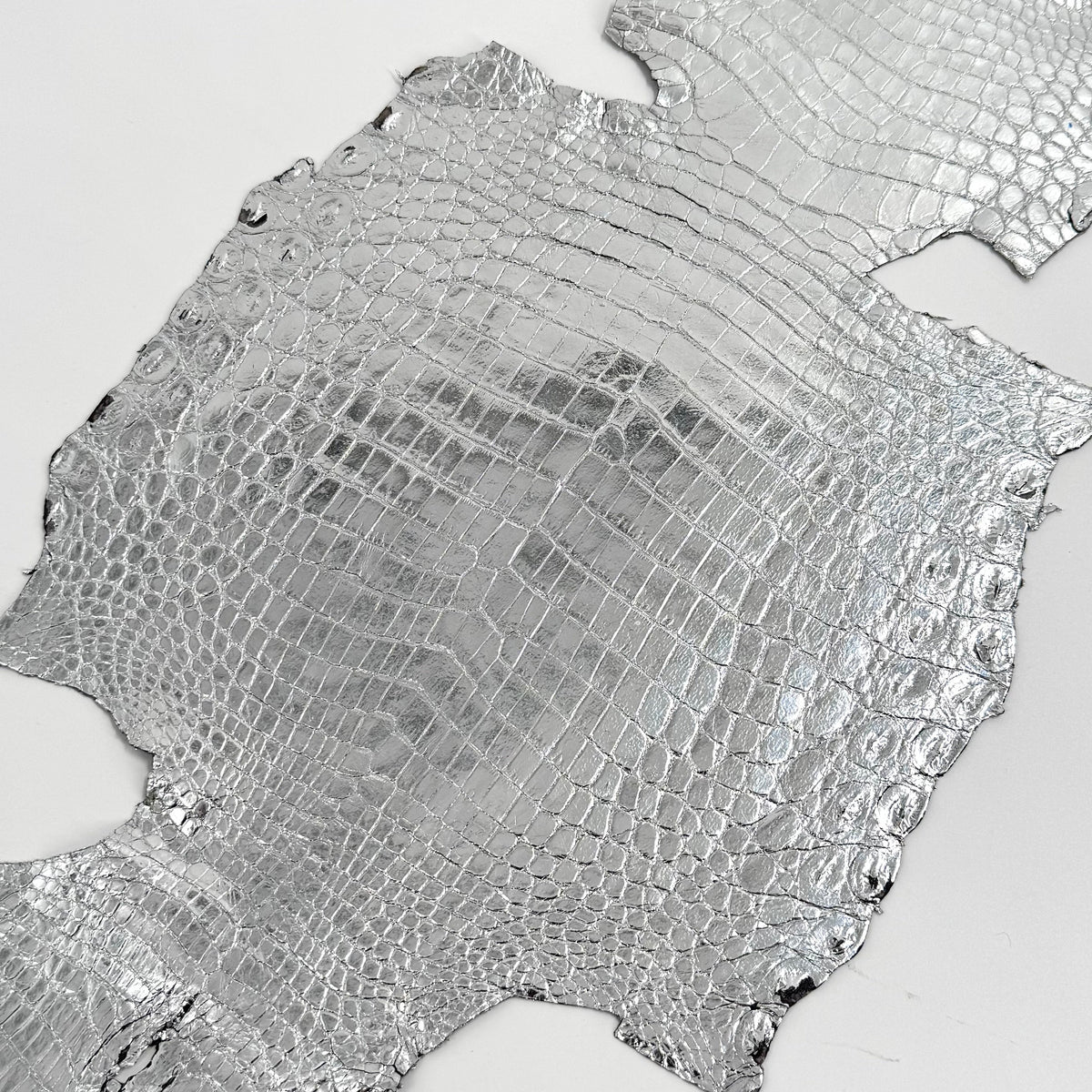 Silver Mirror Foil Mini Nile Crocodile | 23-26 cm