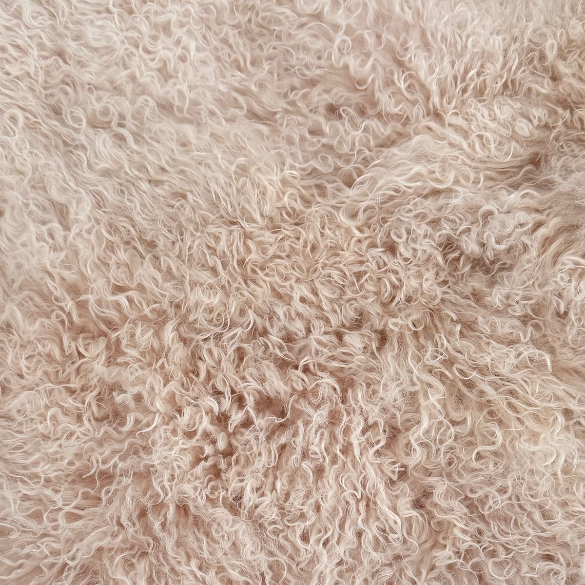 Mongolian Curly Lamb Plate | Ships in 4-5 Days