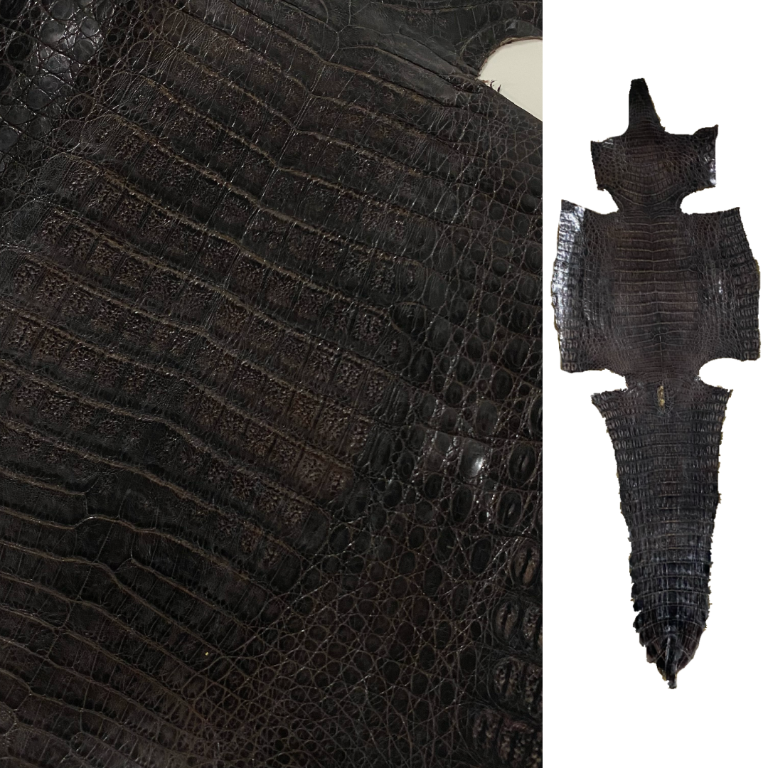 Caiman Crocodile in Dark Brown | SALE | Only 1 available!