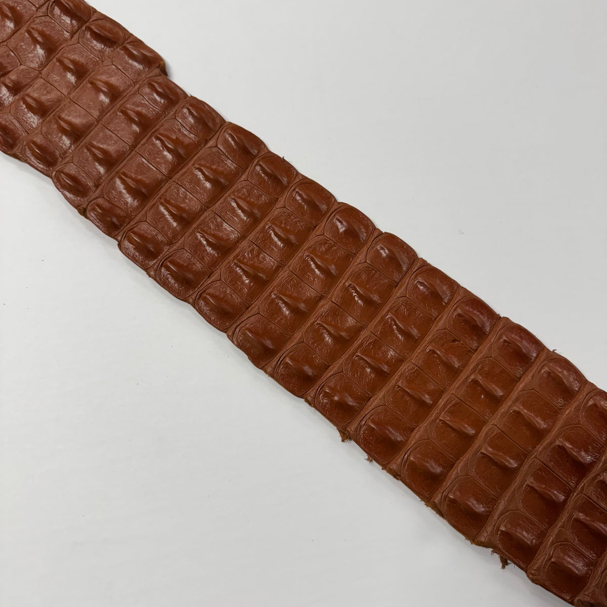 Luxurious cognac crocodile backstrap leather hide, ideal for belts, straps, and refined leather goods.