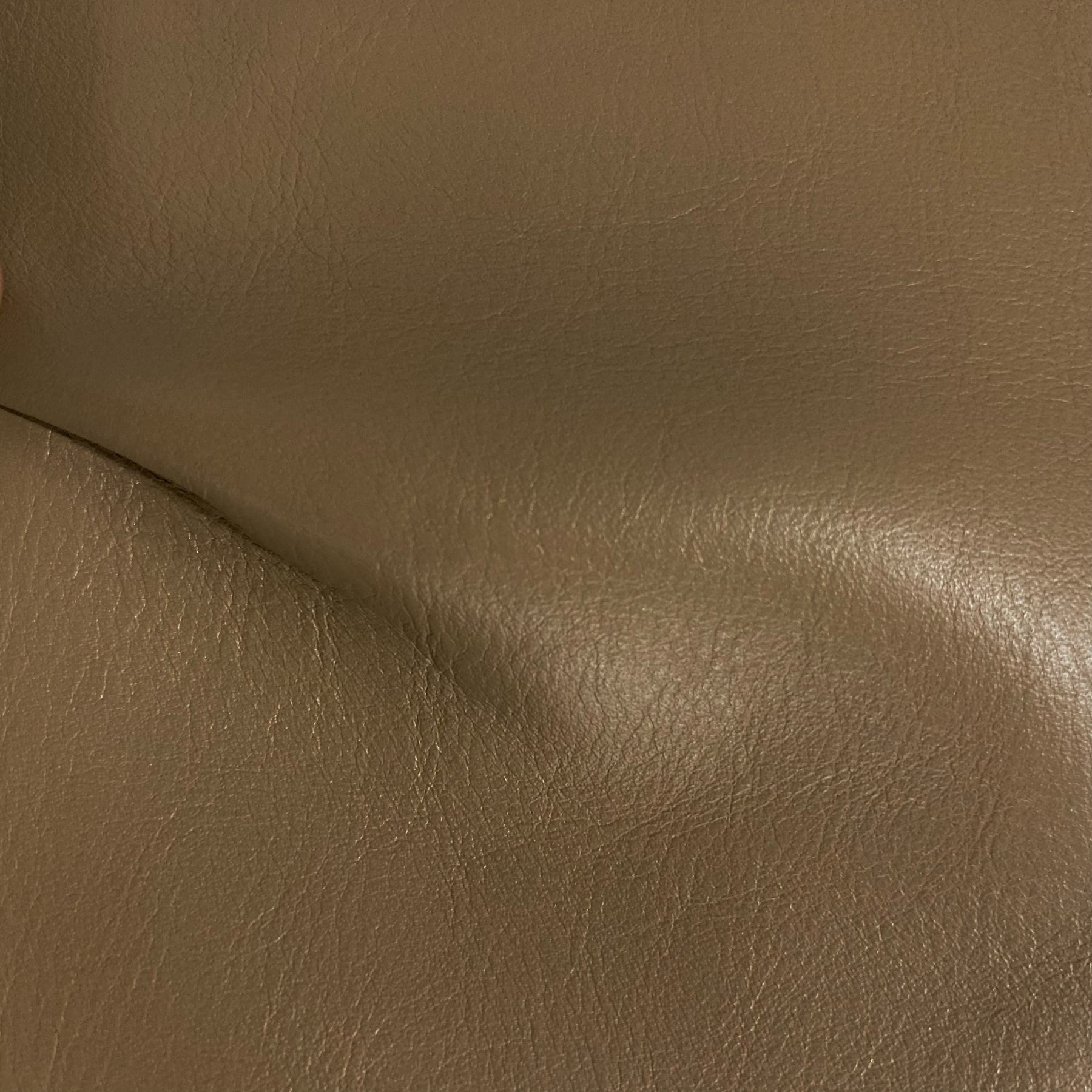 Folson Premium Semi-Shiny Upholstery Cow Leather | Ships in 2 weeks