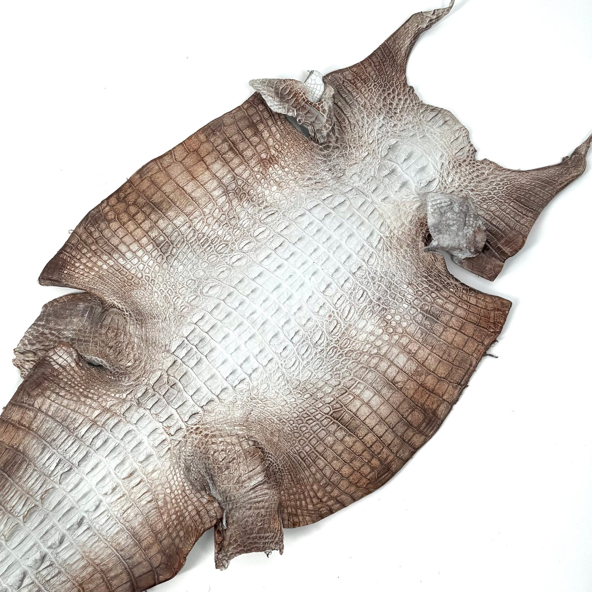 Hornback Crocodile Dyed in New York City | Only 1 available!