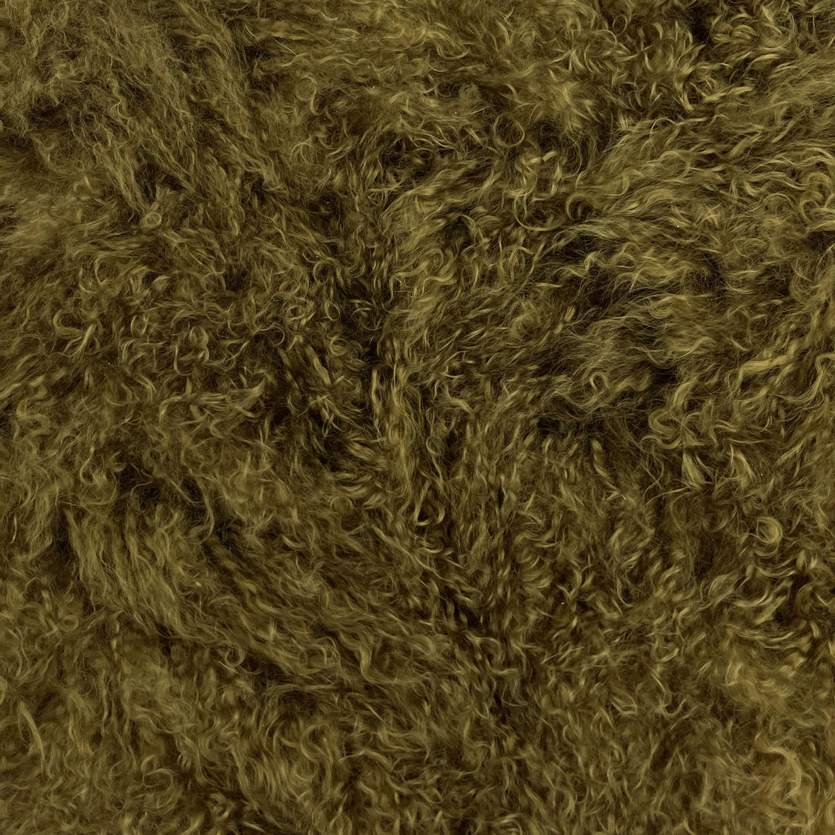 Mongolian Curly Lamb Plate | Ships in 4-5 Days