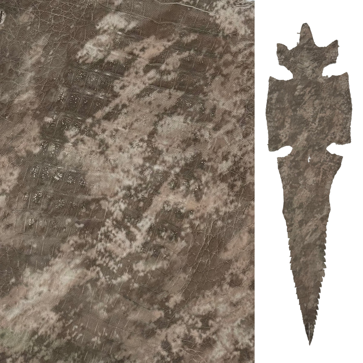 Khaki Camo Caiman Crocodile | SALE - last 10 hides!