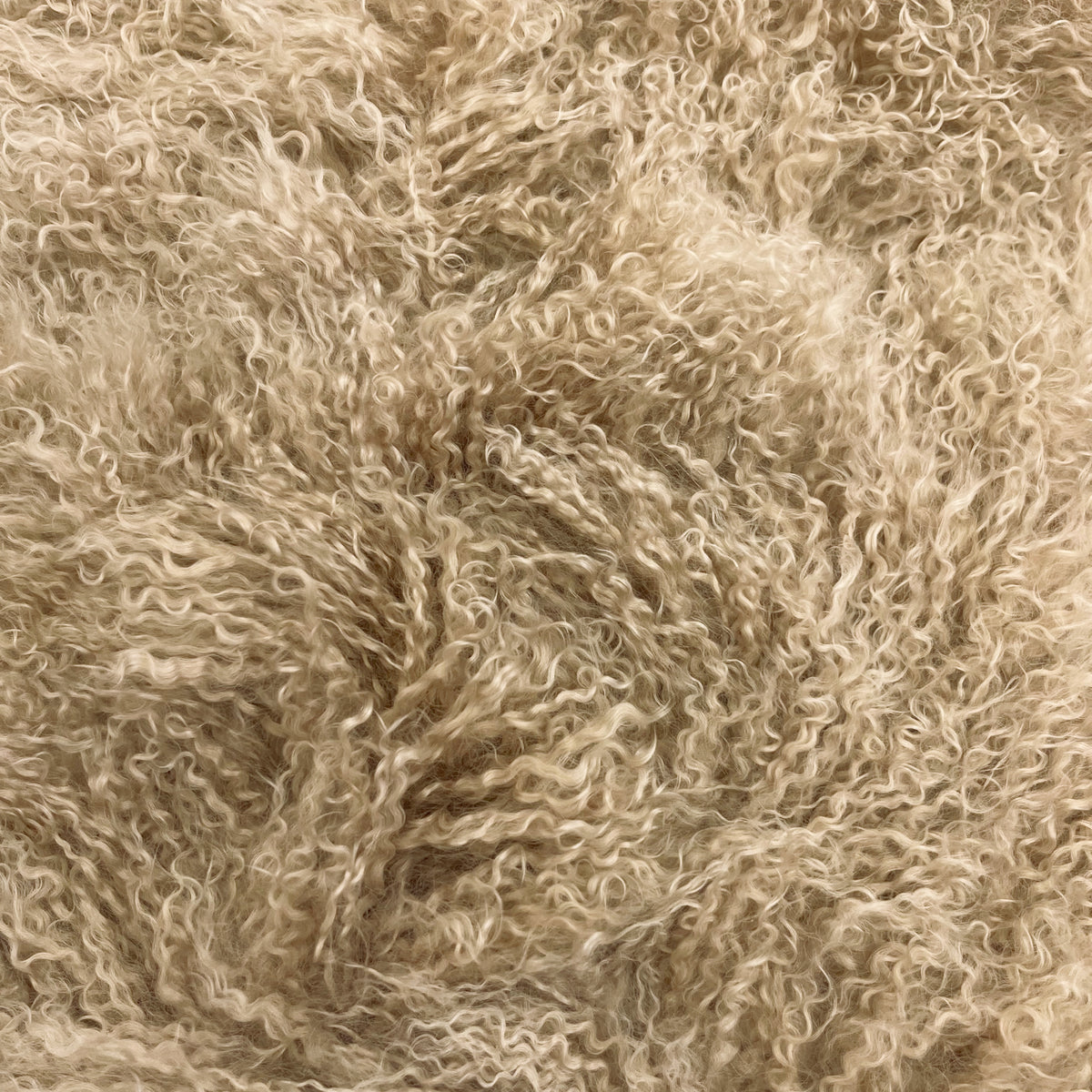 Mongolian Curly Lamb Plate | Ships in 4-5 Days