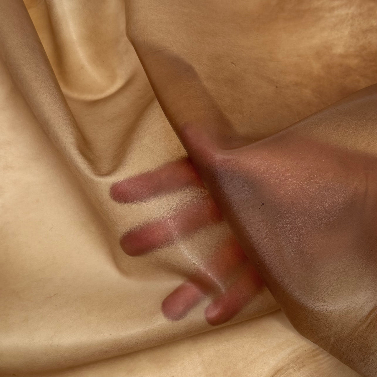 Transparent Lamb Leather