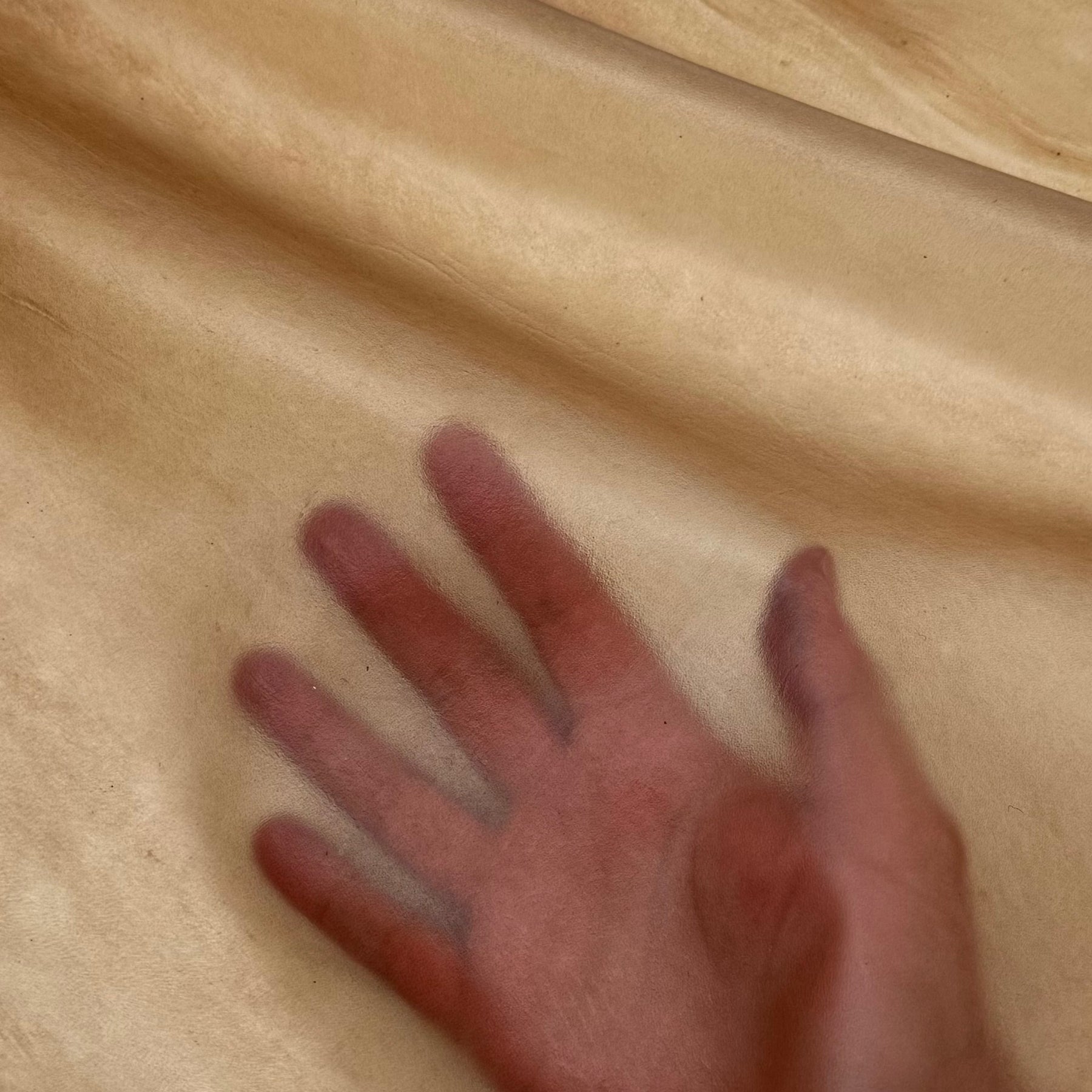 Transparent Lamb Leather