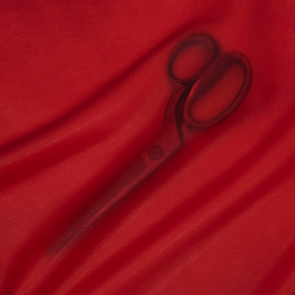 Transparent Lamb Leather