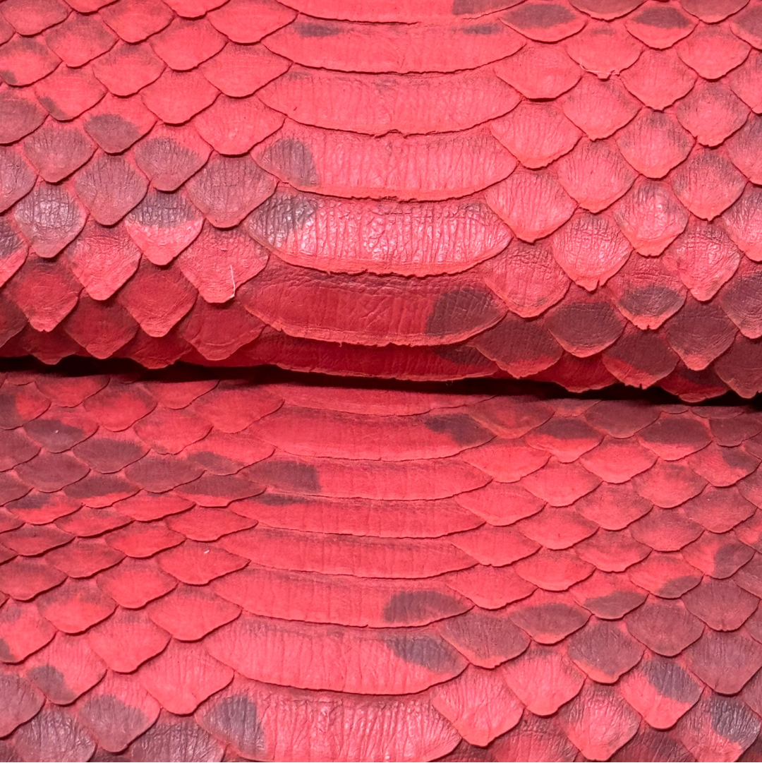 Genuine Elaphe Snakeskin | Red