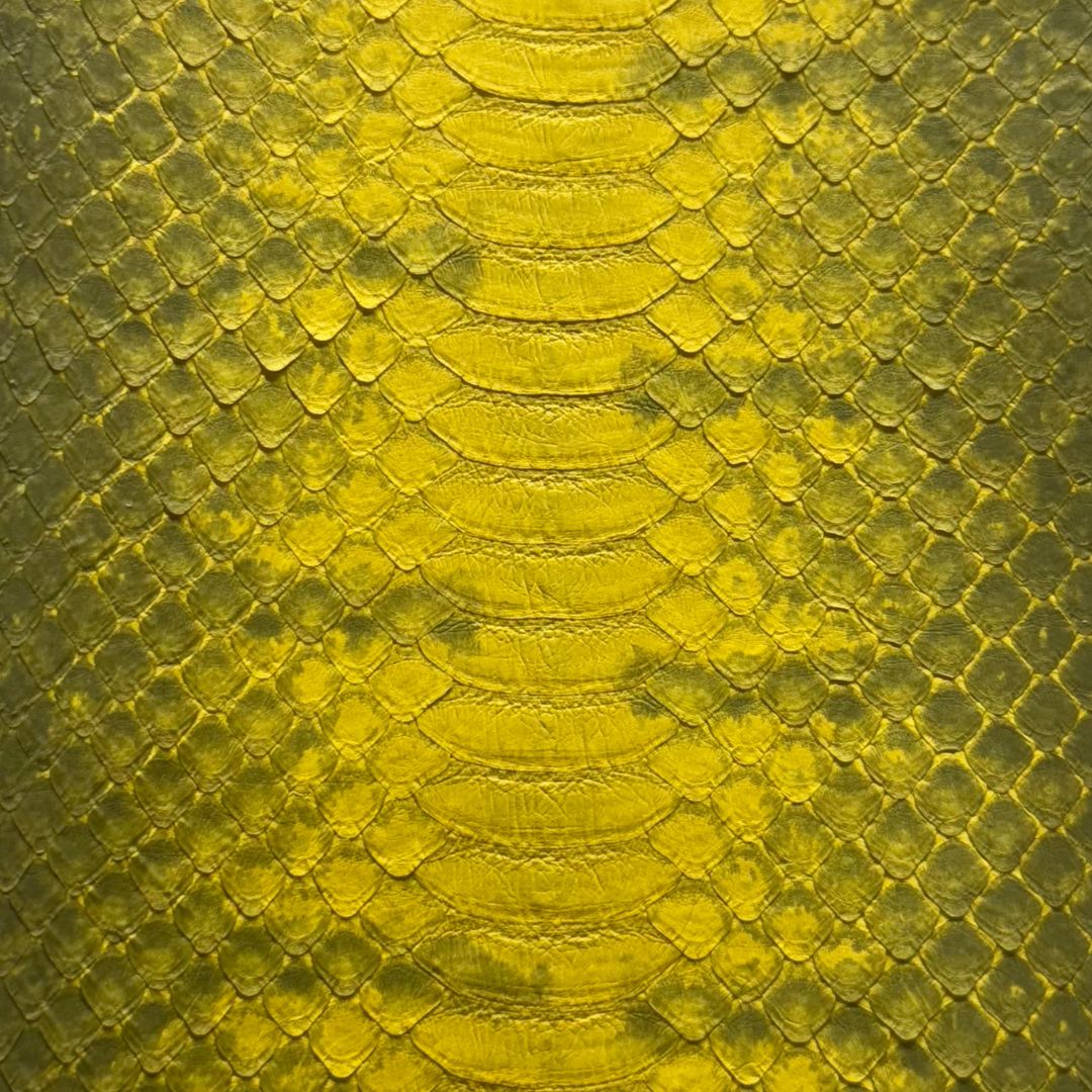 Genuine Elaphe Snakeskin | Yellow