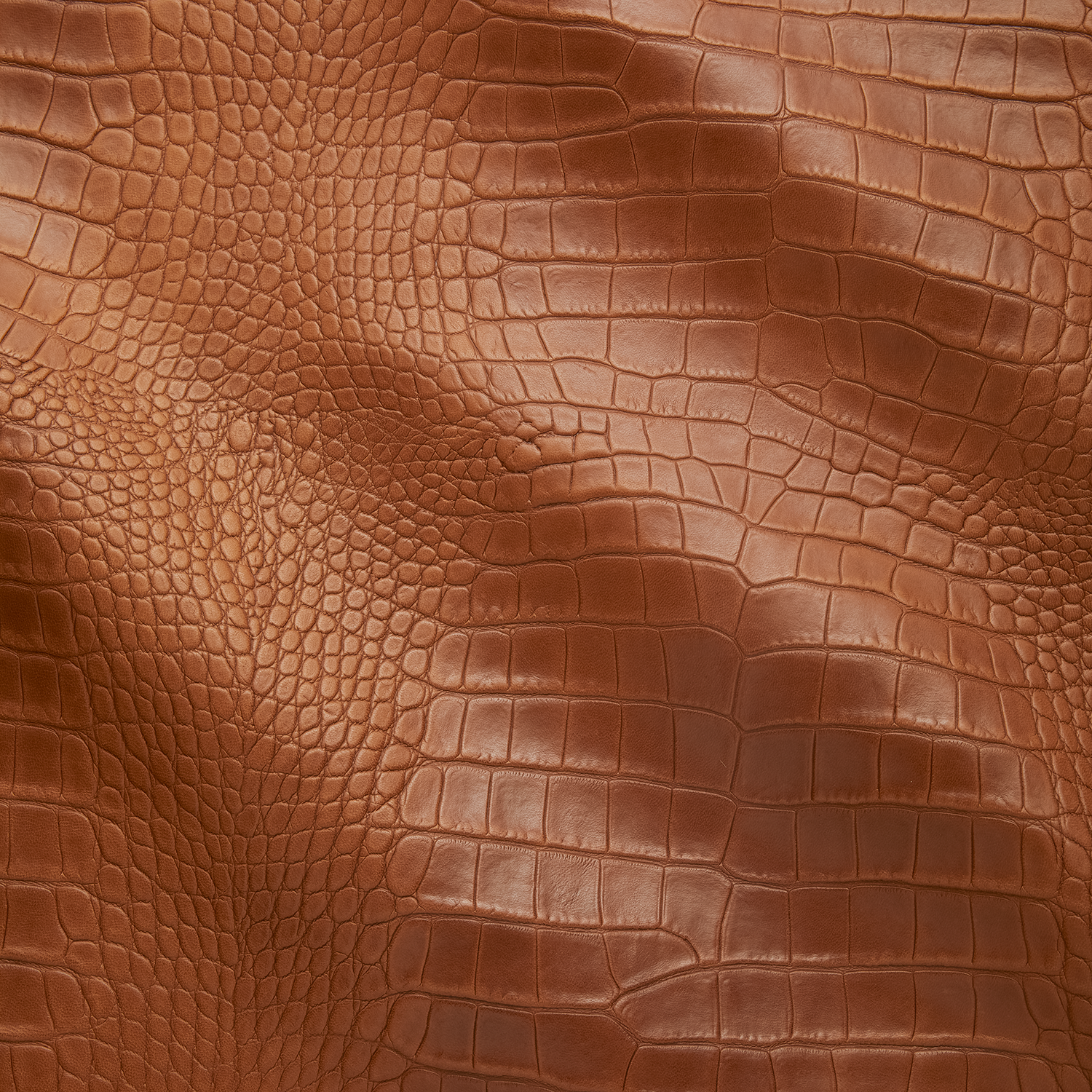 leathery skin texture