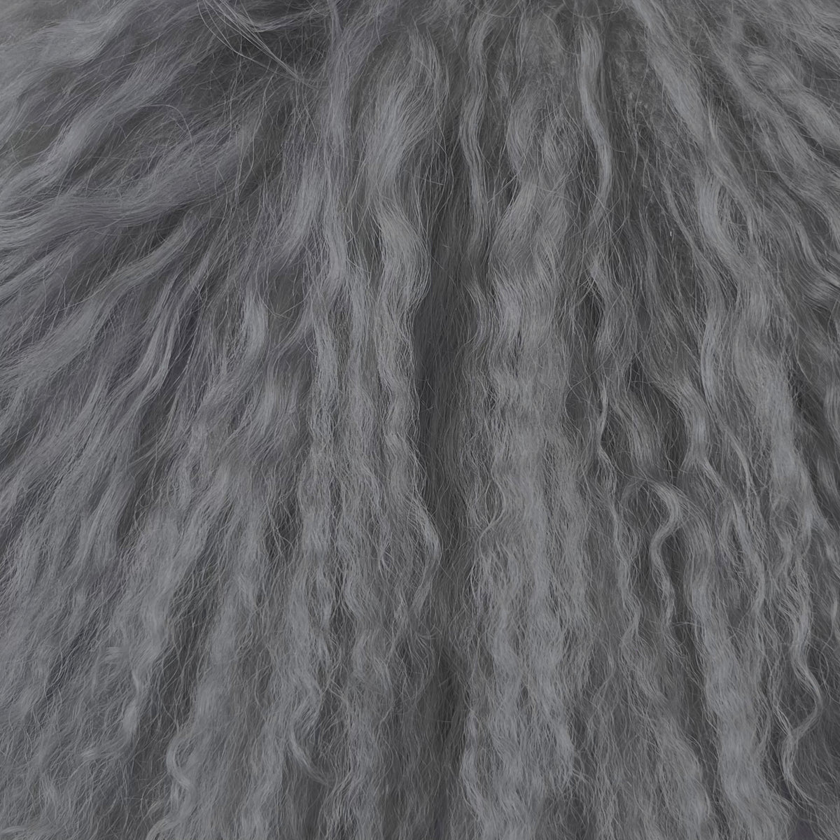 Mongolian Curly Lamb Plate | Ships in 4-5 Days