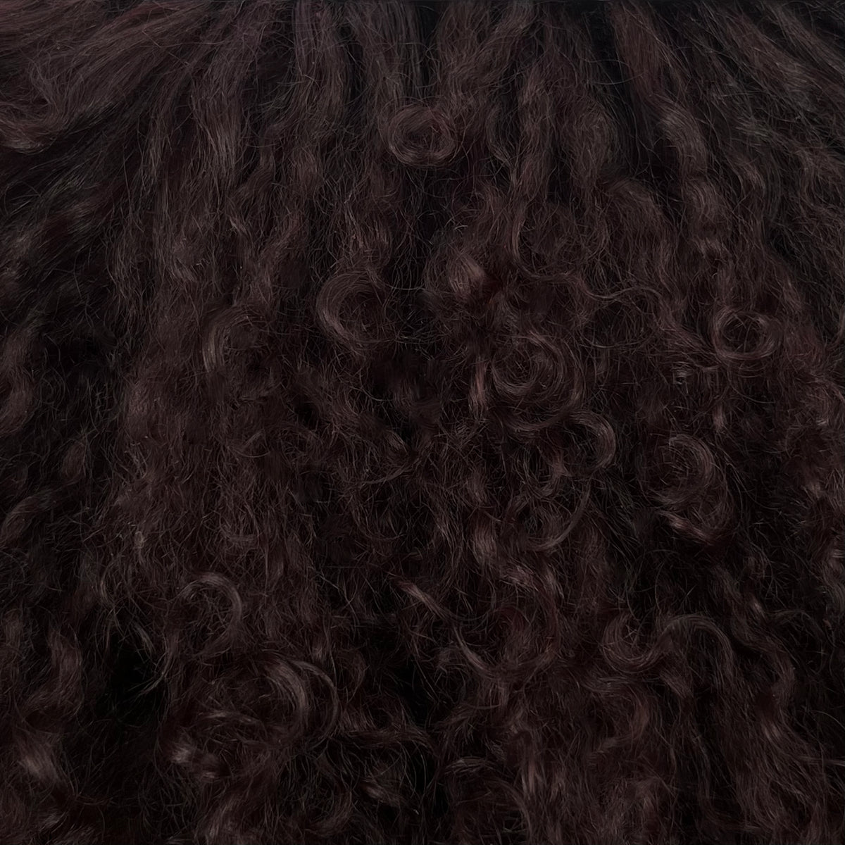 Mongolian Curly Lamb Plate | Ships in 4-5 Days