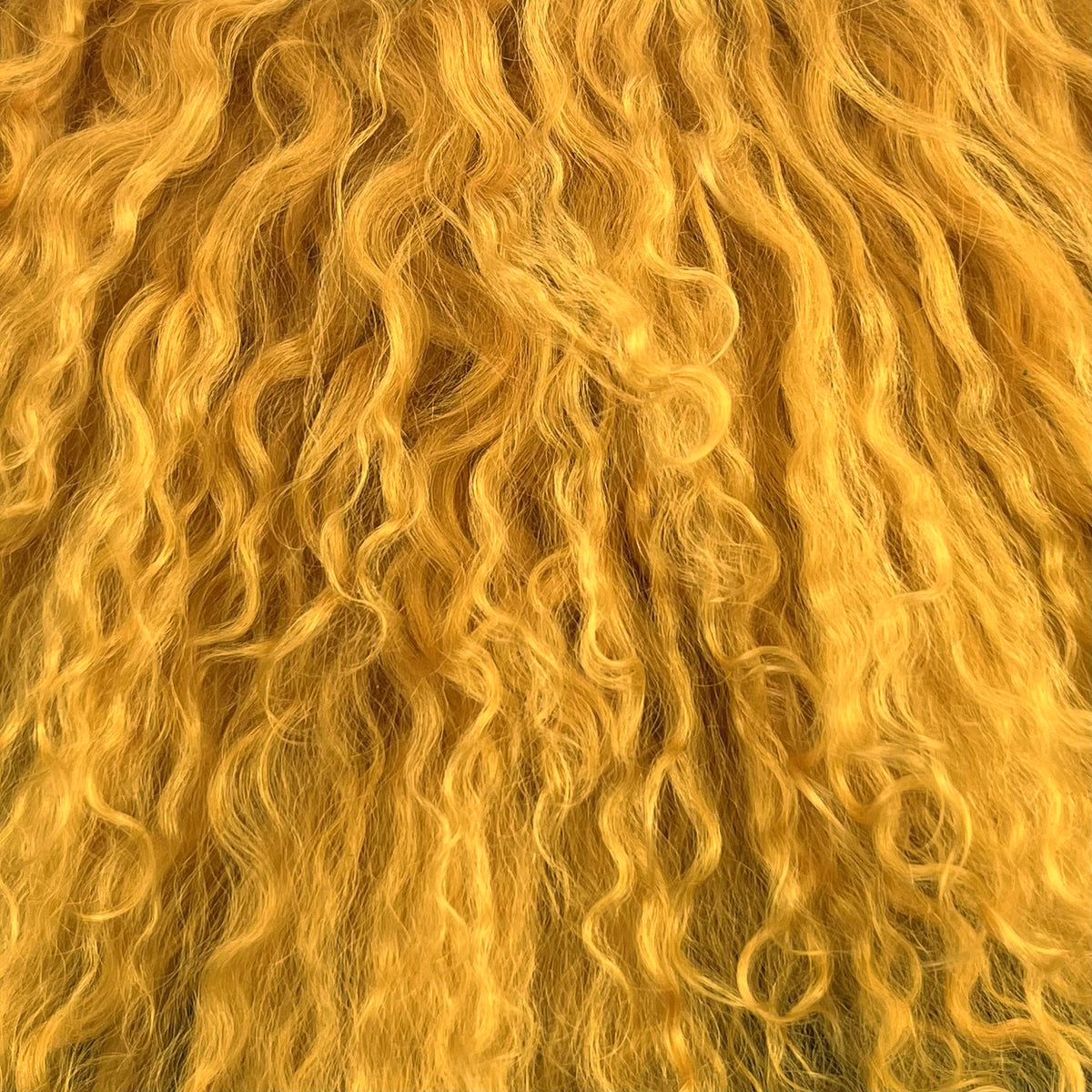 Mongolian Curly Lamb Plate | Ships in 4-5 Days