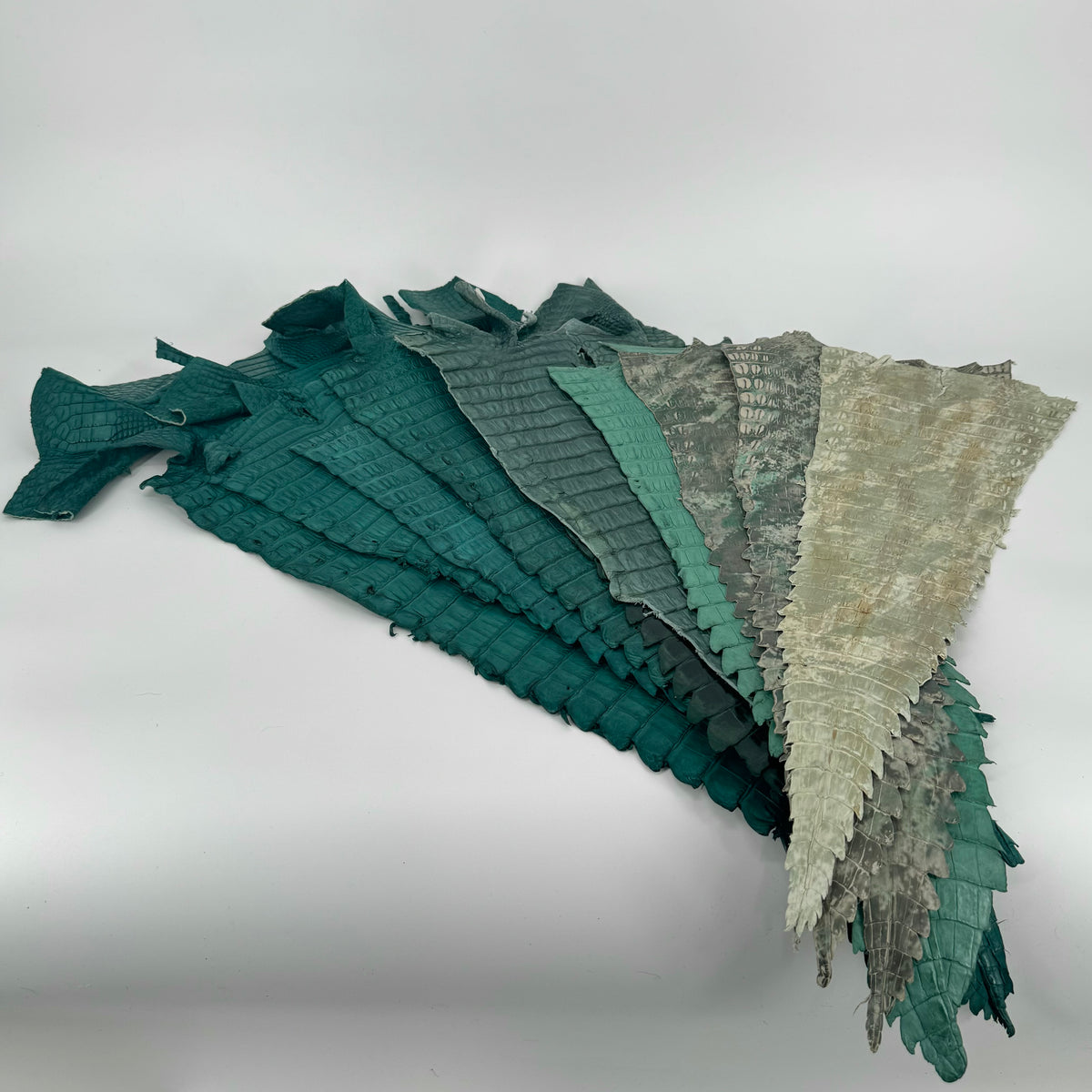 Assorted Caiman Tail Bundle – Green