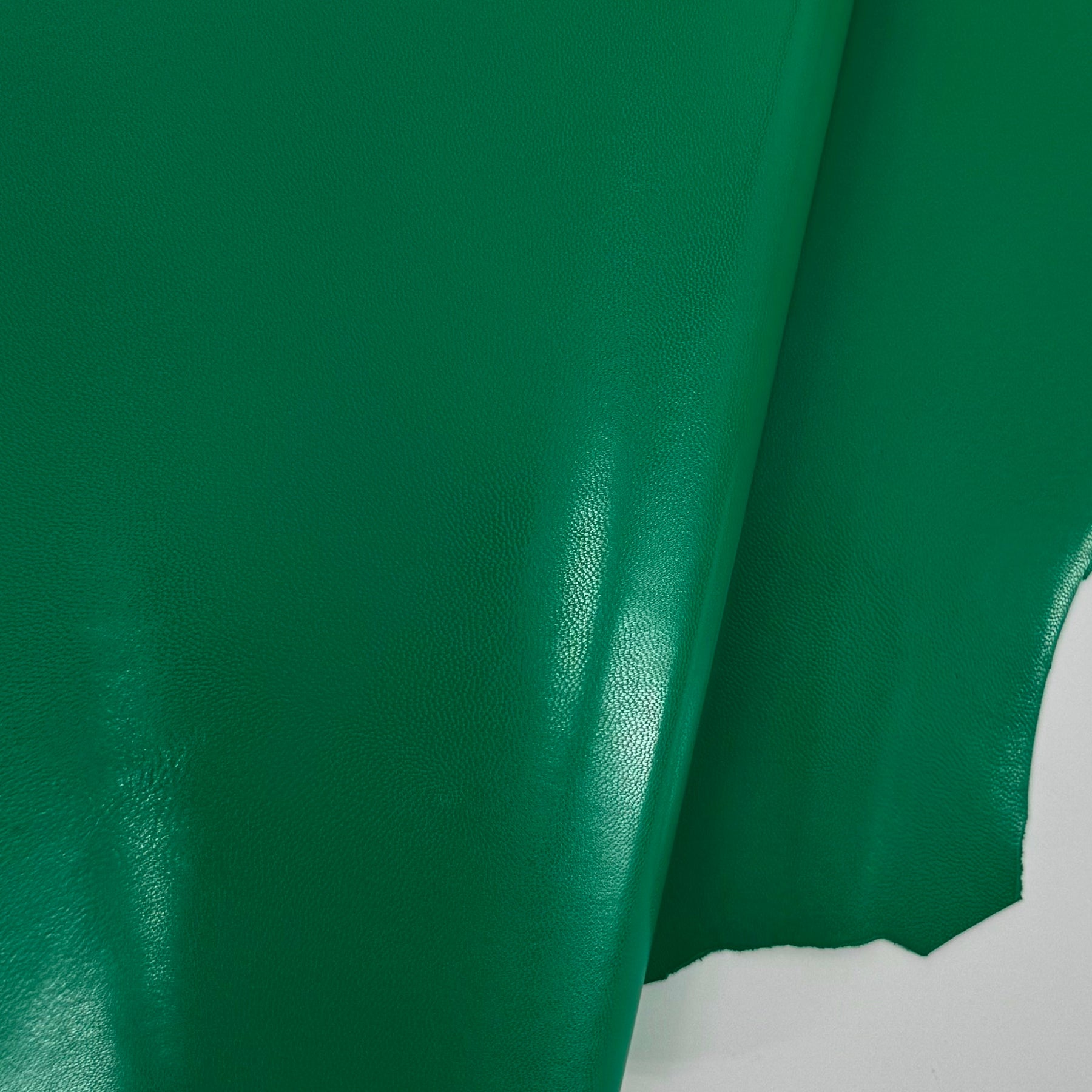 Kid Skin Goat Leather