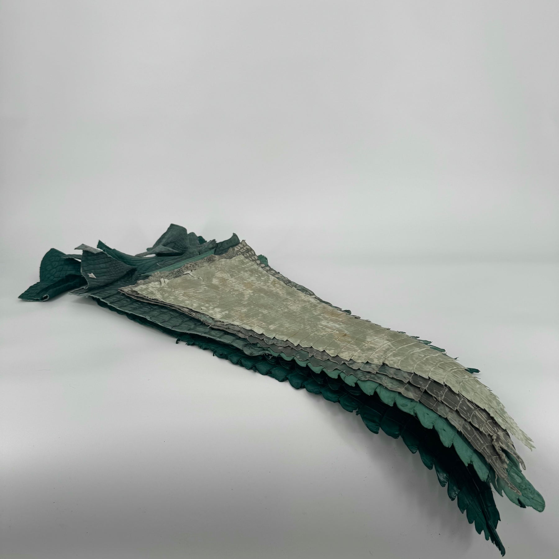 Assorted Caiman Tail Bundle – Green