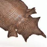 Hand Painted Nile Crocodile | Cuir | 24 cm
