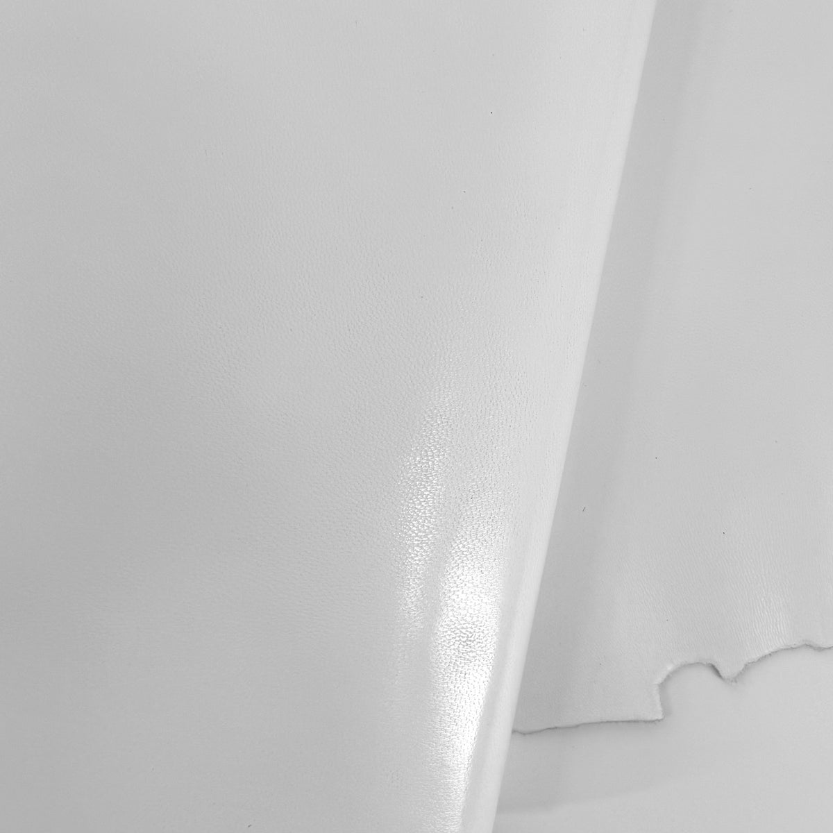 Kid Skin Goat Leather