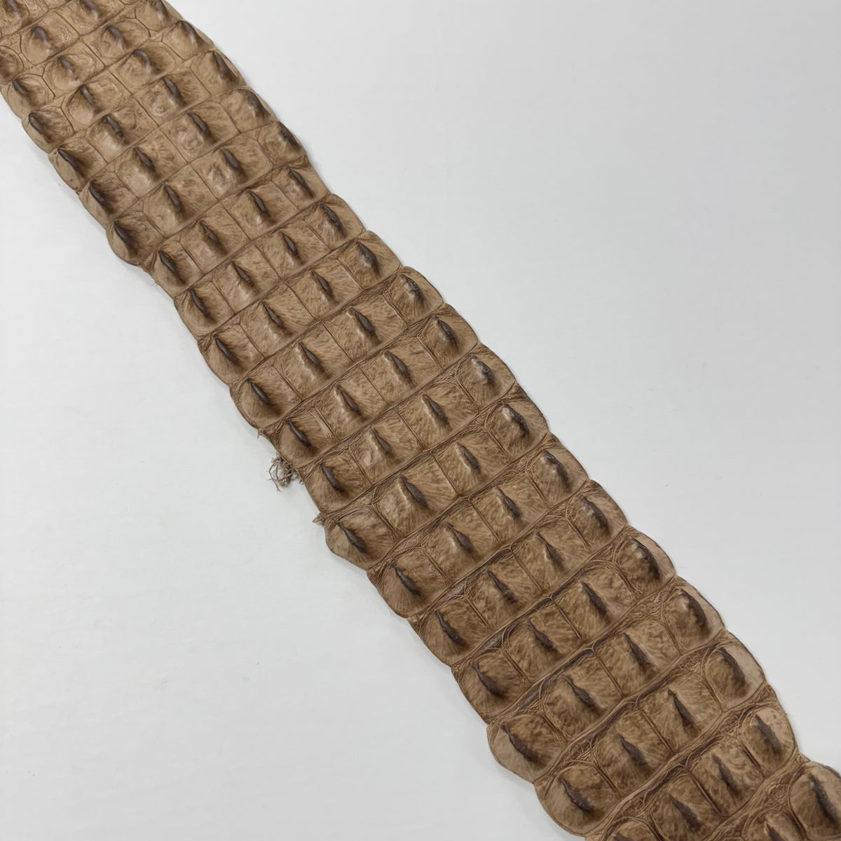 Genuine Crocodile Backstraps