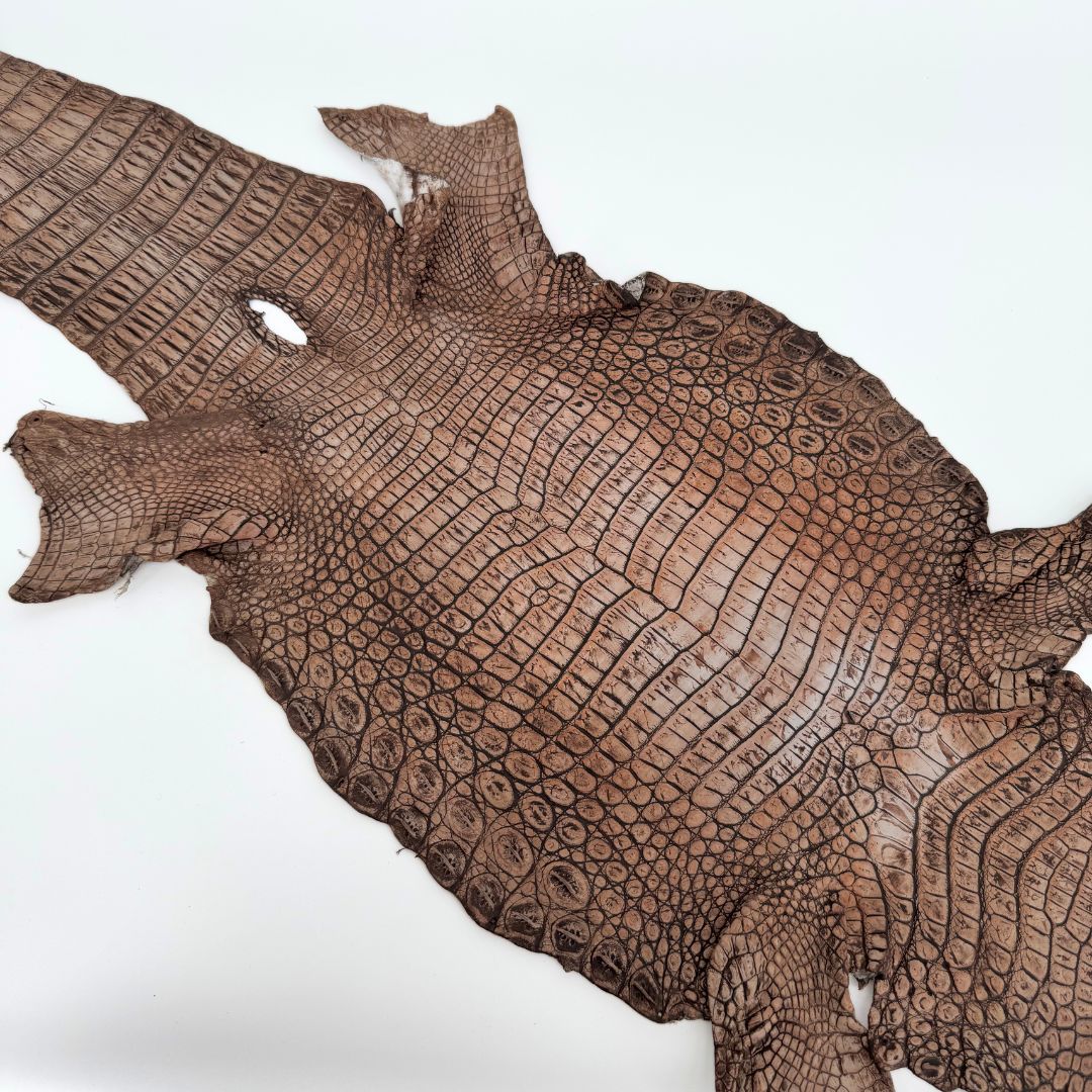 Hand Painted Nile Crocodile | Cuir | 24 cm