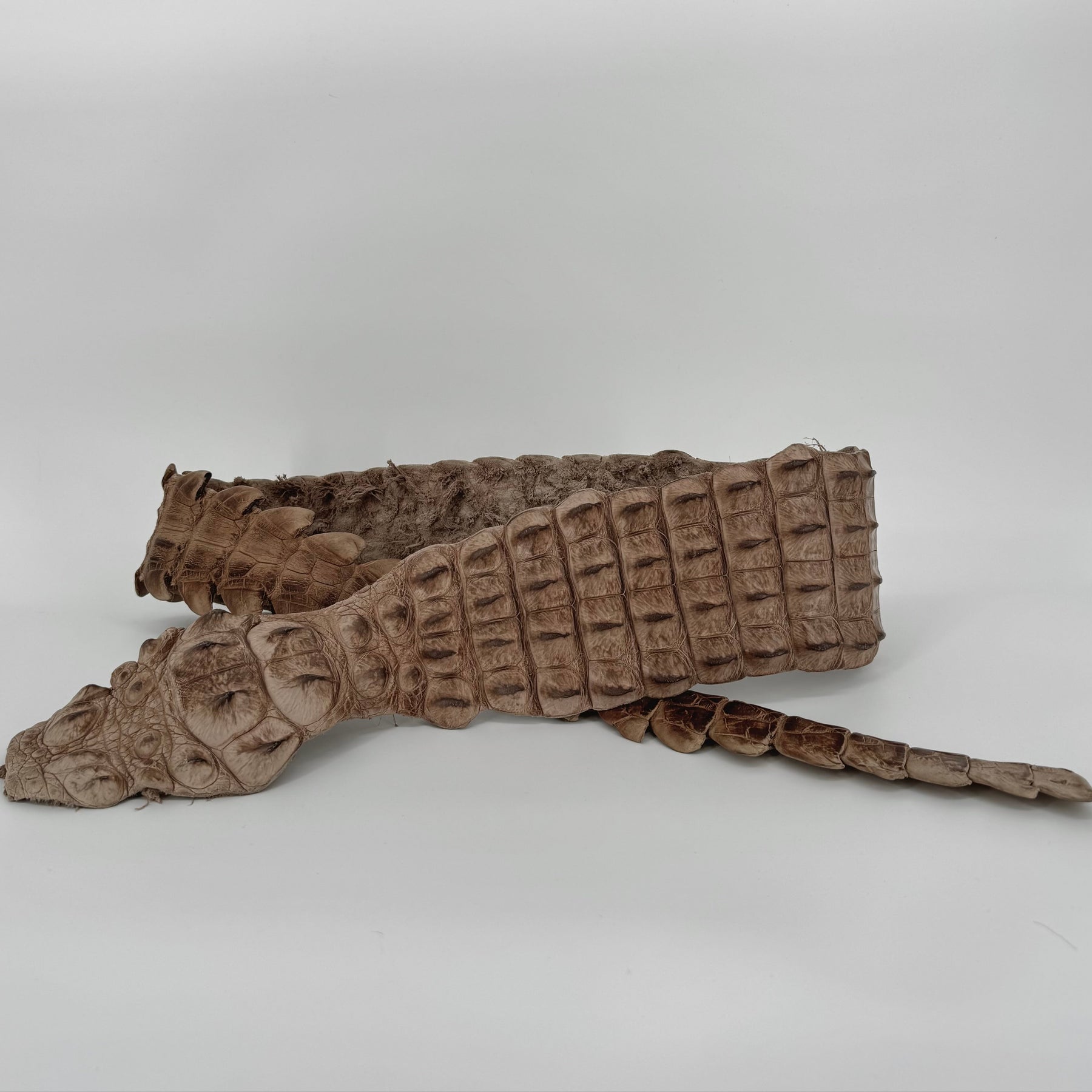 Genuine Crocodile Backstraps