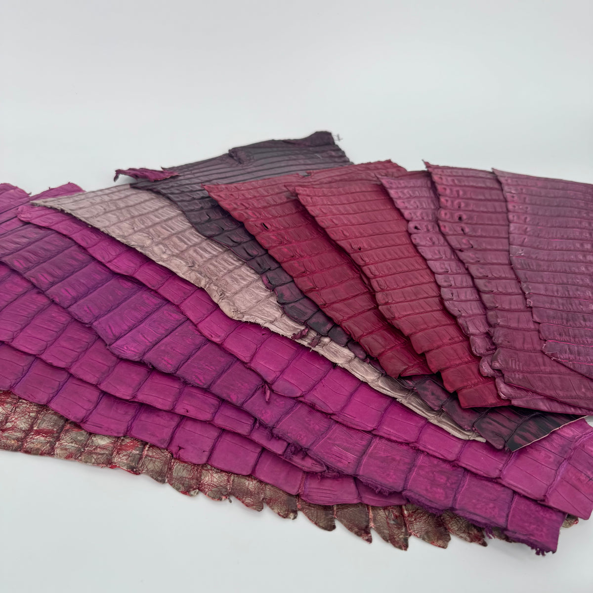 Assorted Caiman Tail Bundle – Pink