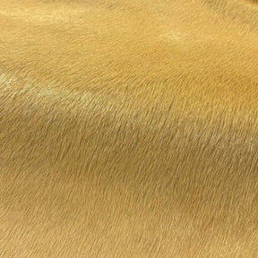 Hair-on Cow Hide | SAMPLES