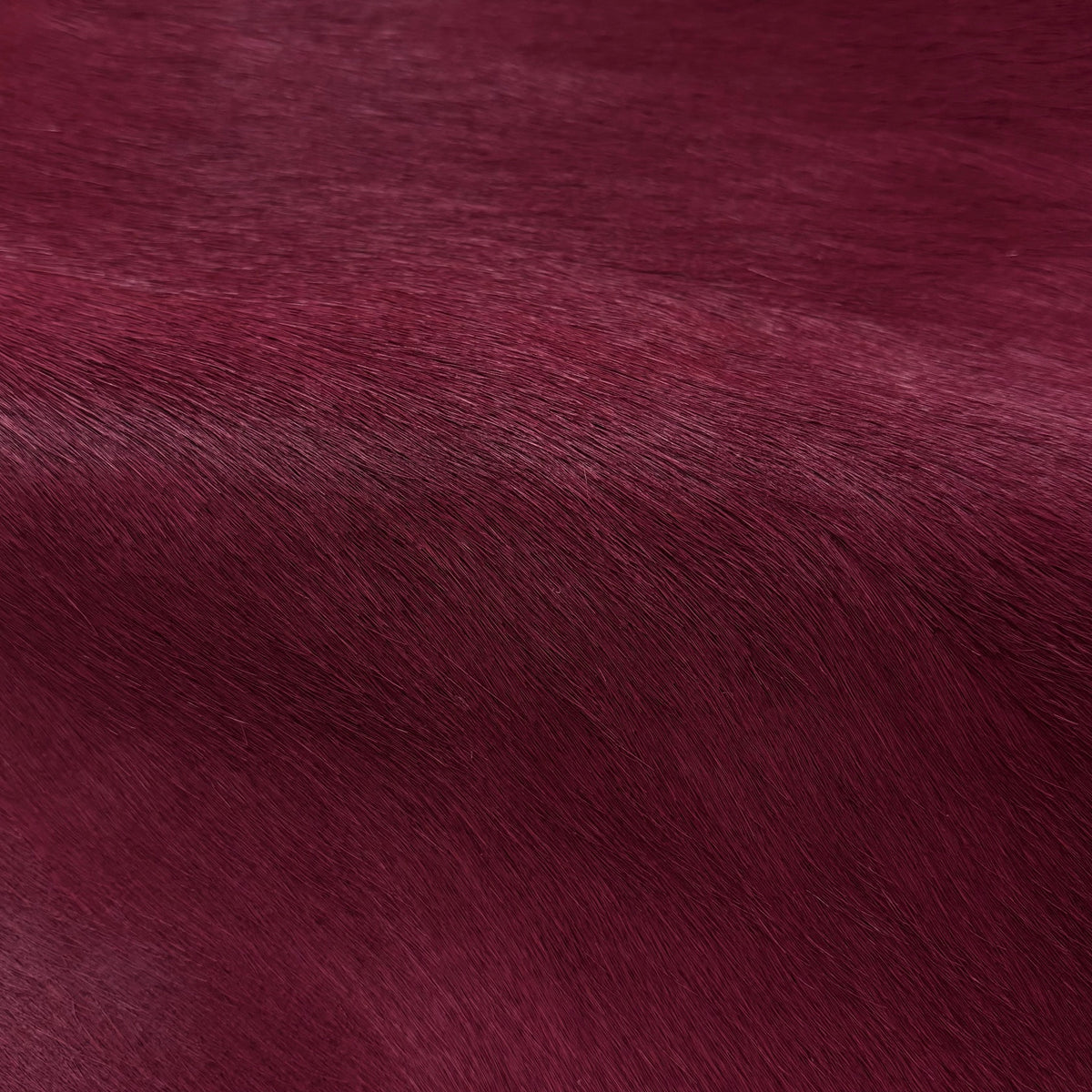 Hair-on Cow Hide | Ships in 2 weeks