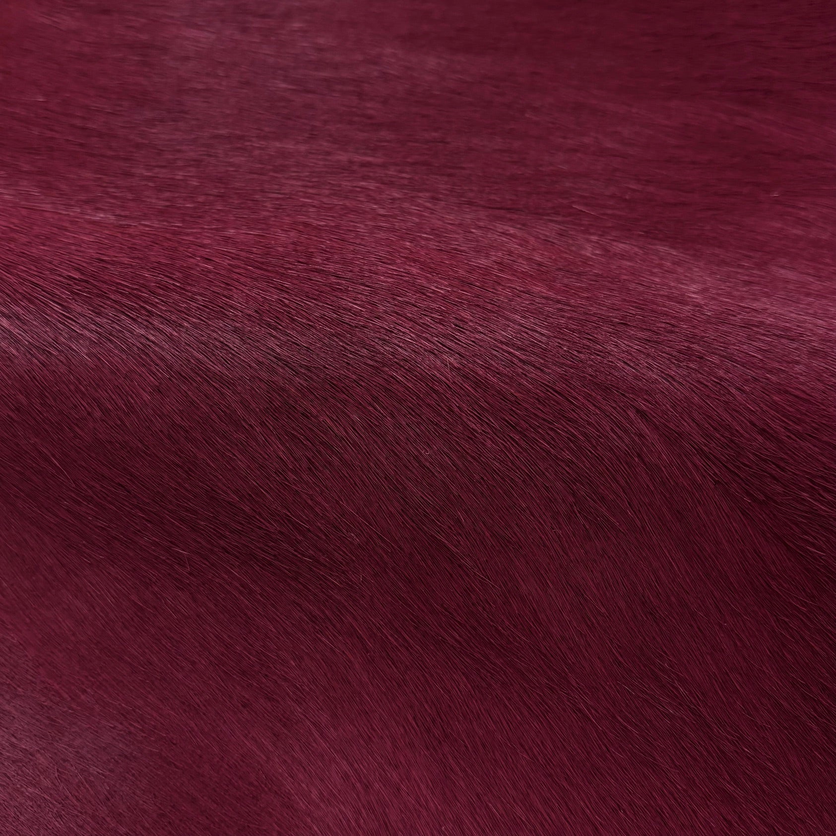 Hair-on Cow Hide | SAMPLES