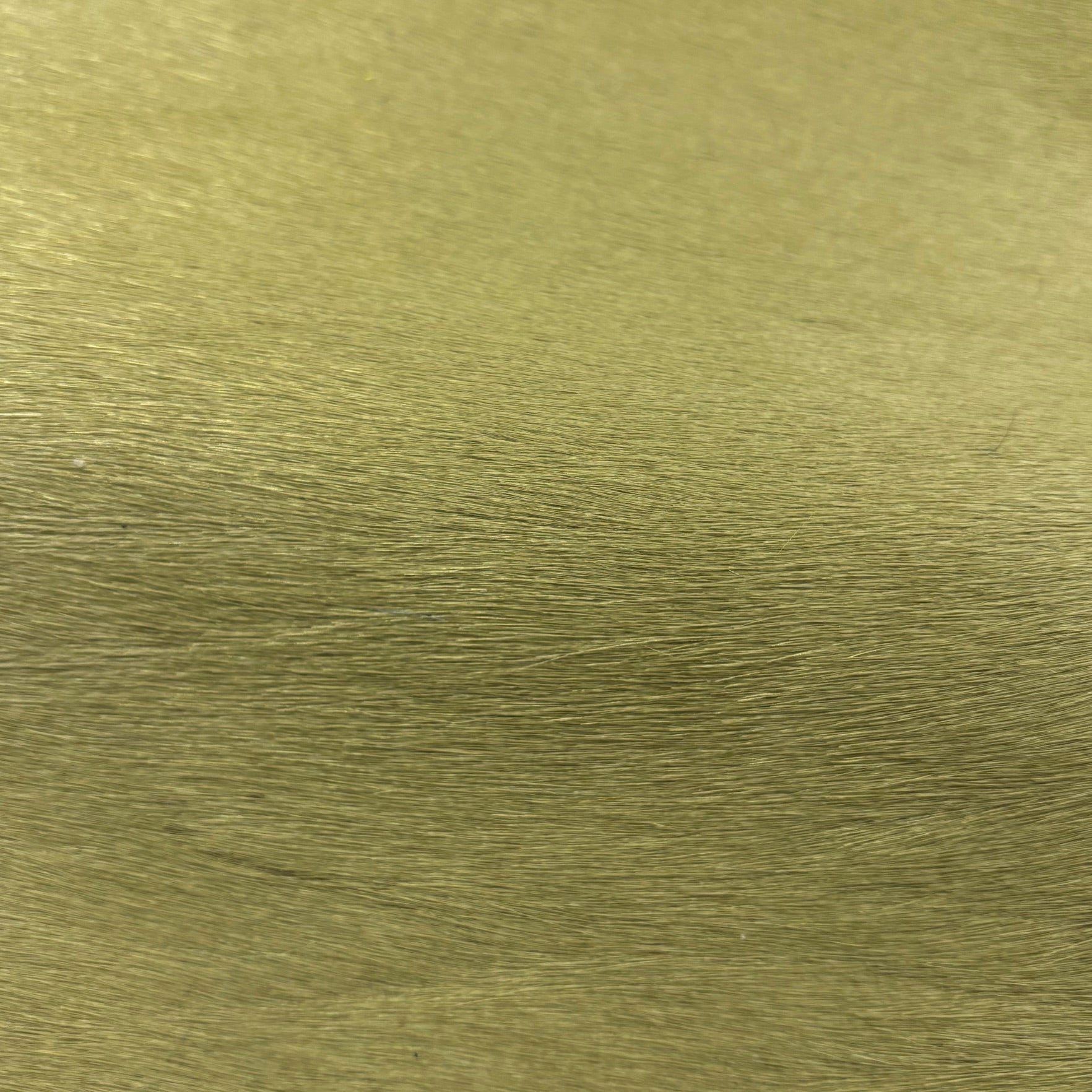 Hair-on Cow Hide | SAMPLES