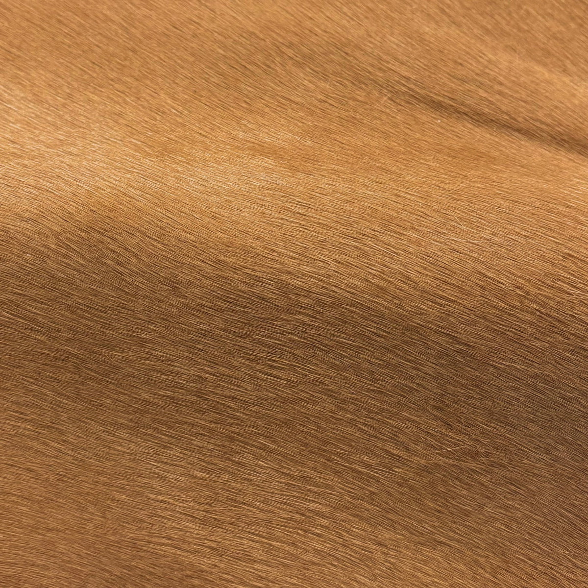 Hair-on Cow Hide | Ships in 2 weeks