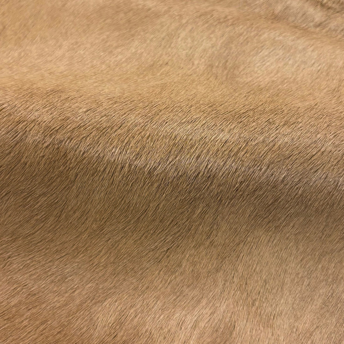 Hair-on Cow Hide | Ships in 3 weeks