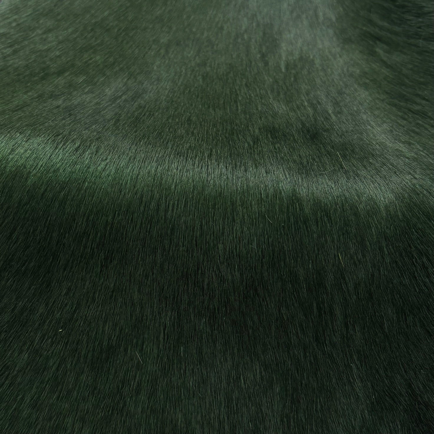 Hair-on Cow Hide | SAMPLES