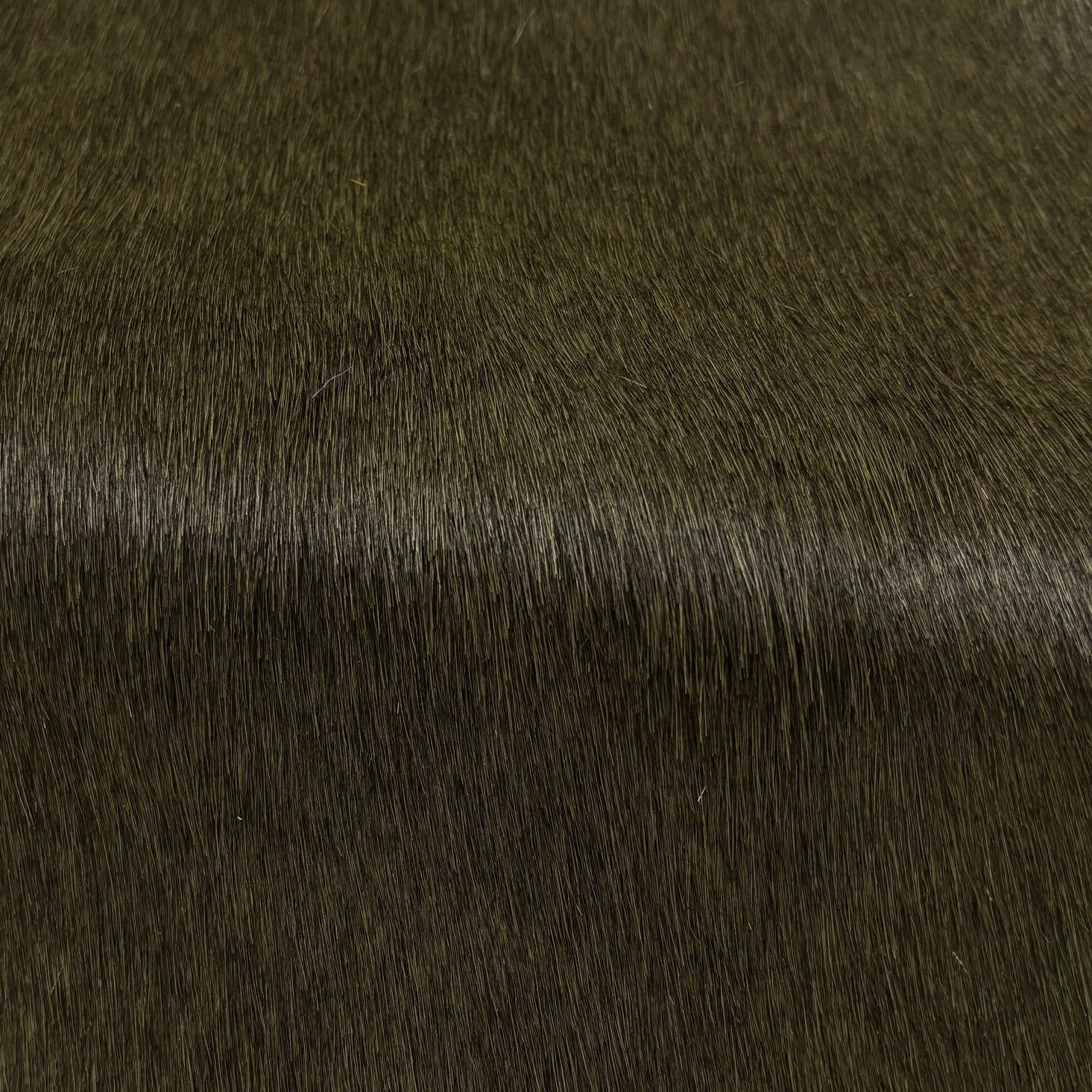 Hair-on Cow Hide | SAMPLES