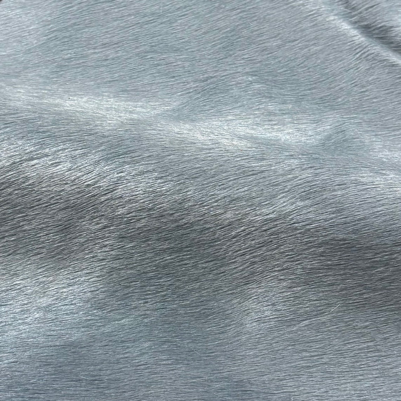 Hair-on Cow Hide | SAMPLES