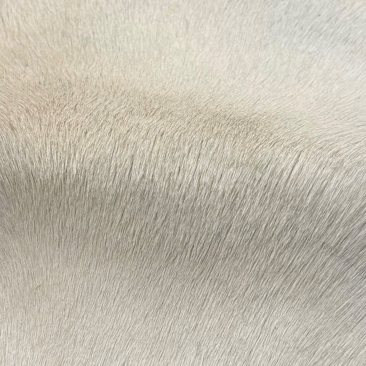 Hair-on Cow Hide | SAMPLES