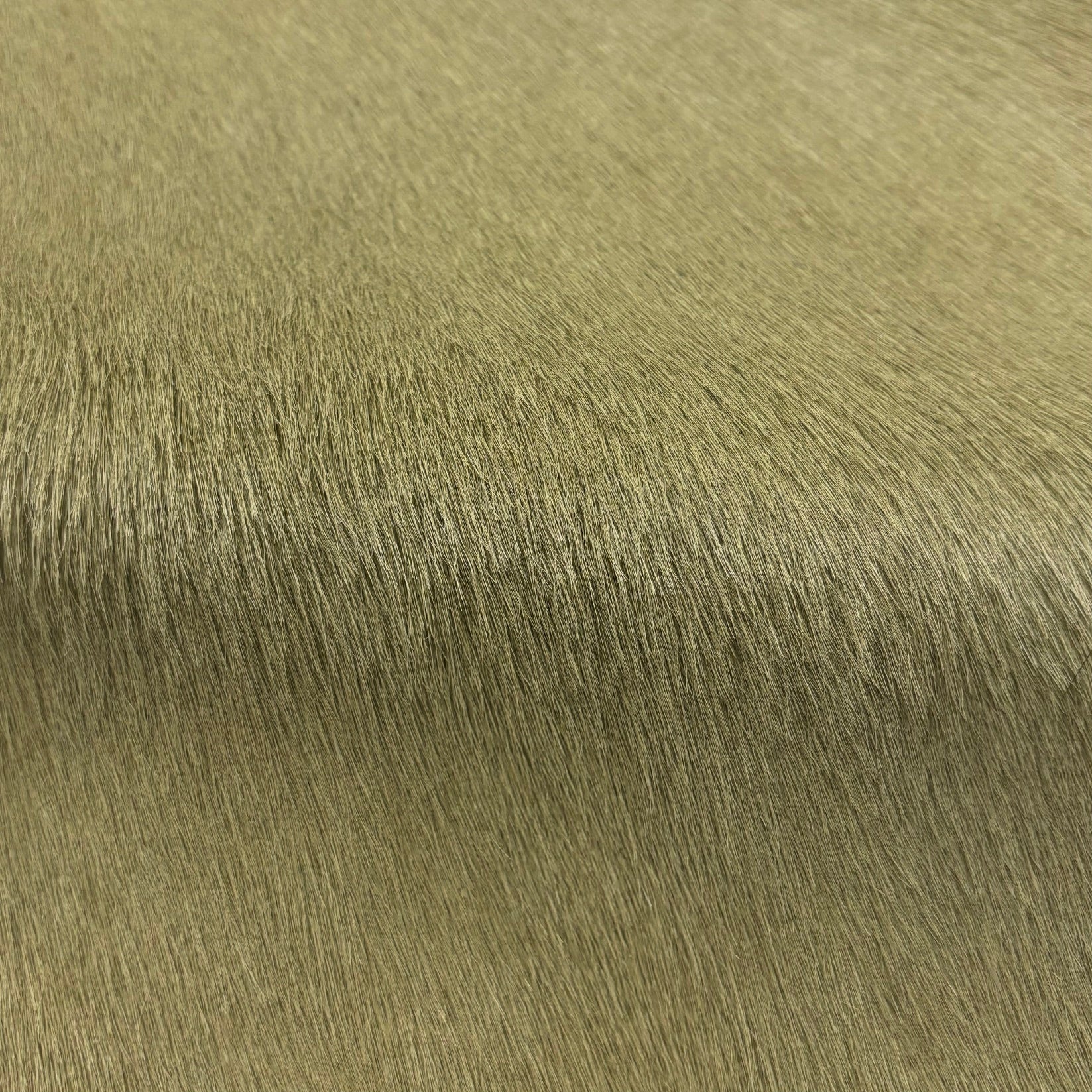 Hair-on Cow Hide | SAMPLES