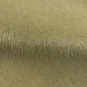 Hair-on Cow Hide | SAMPLES