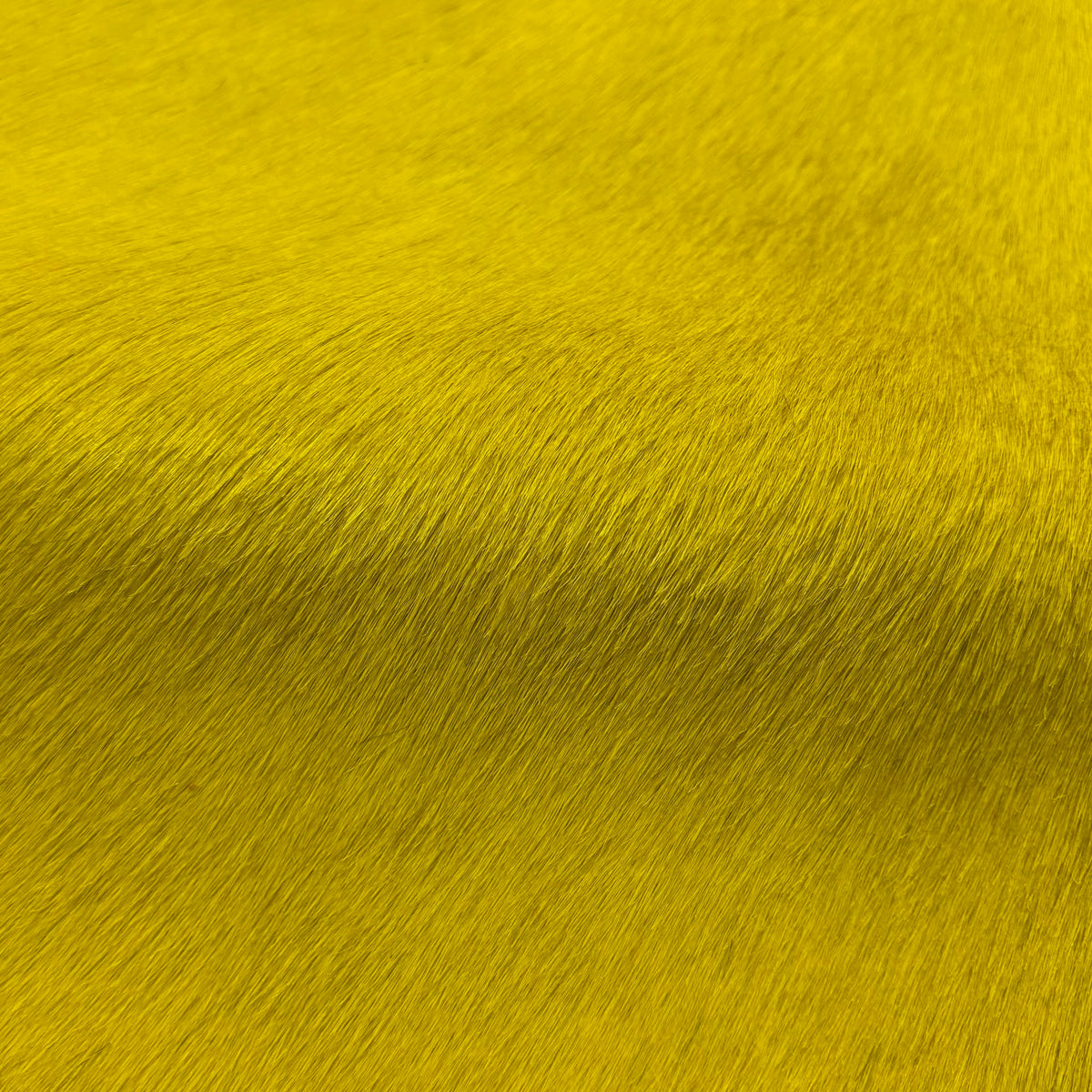 Hair-on Cow Hide | Ships in 2 weeks