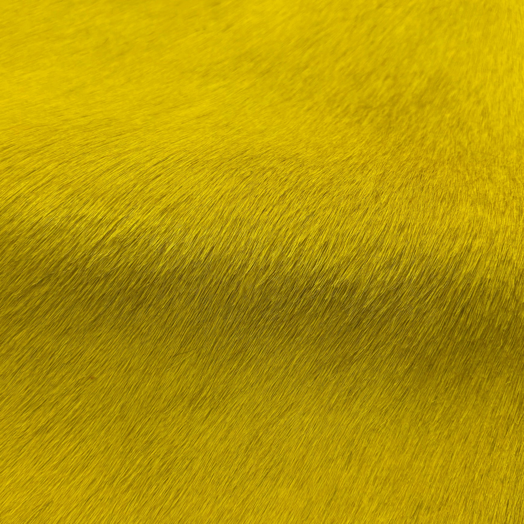 Hair-on Cow Hide | SAMPLES