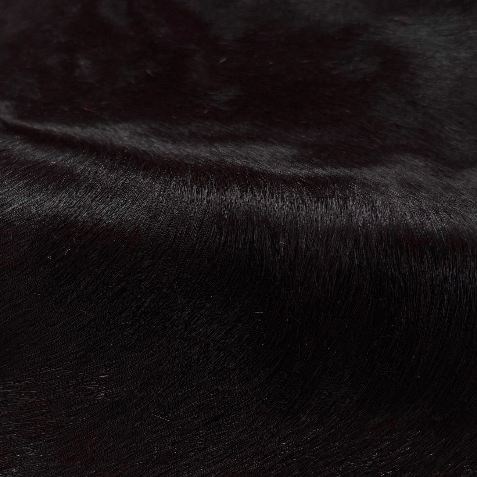 Hair-on Cow Hide | SAMPLES