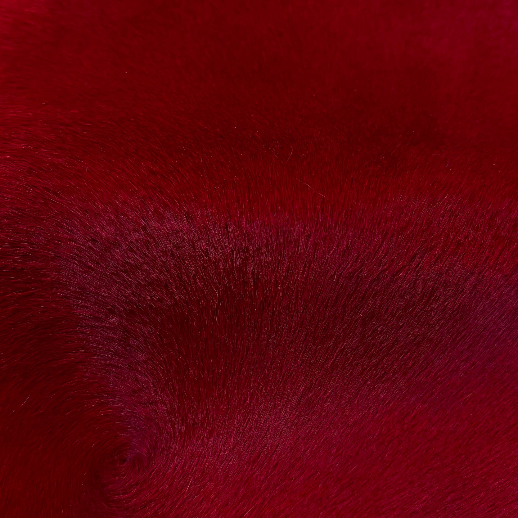 Hair-on Cow Hide | SAMPLES
