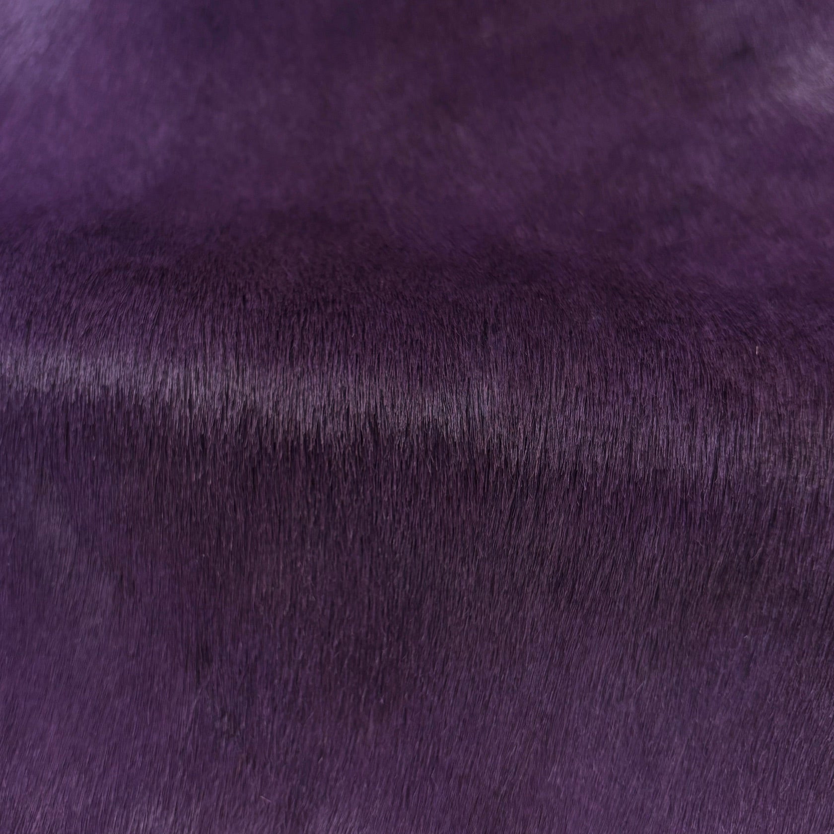 Hair-on Cow Hide | SAMPLES