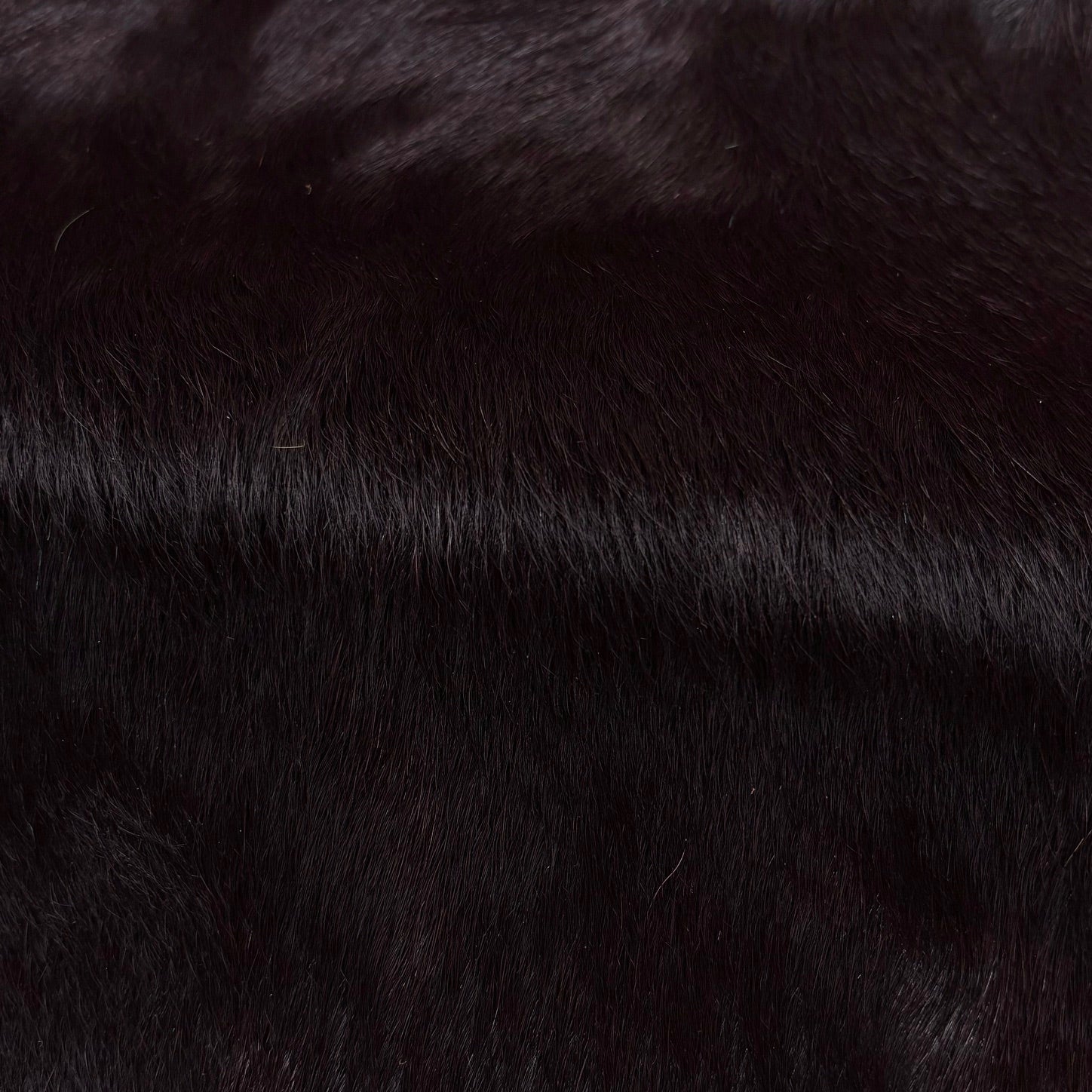 Hair-on Cow Hide | SAMPLES