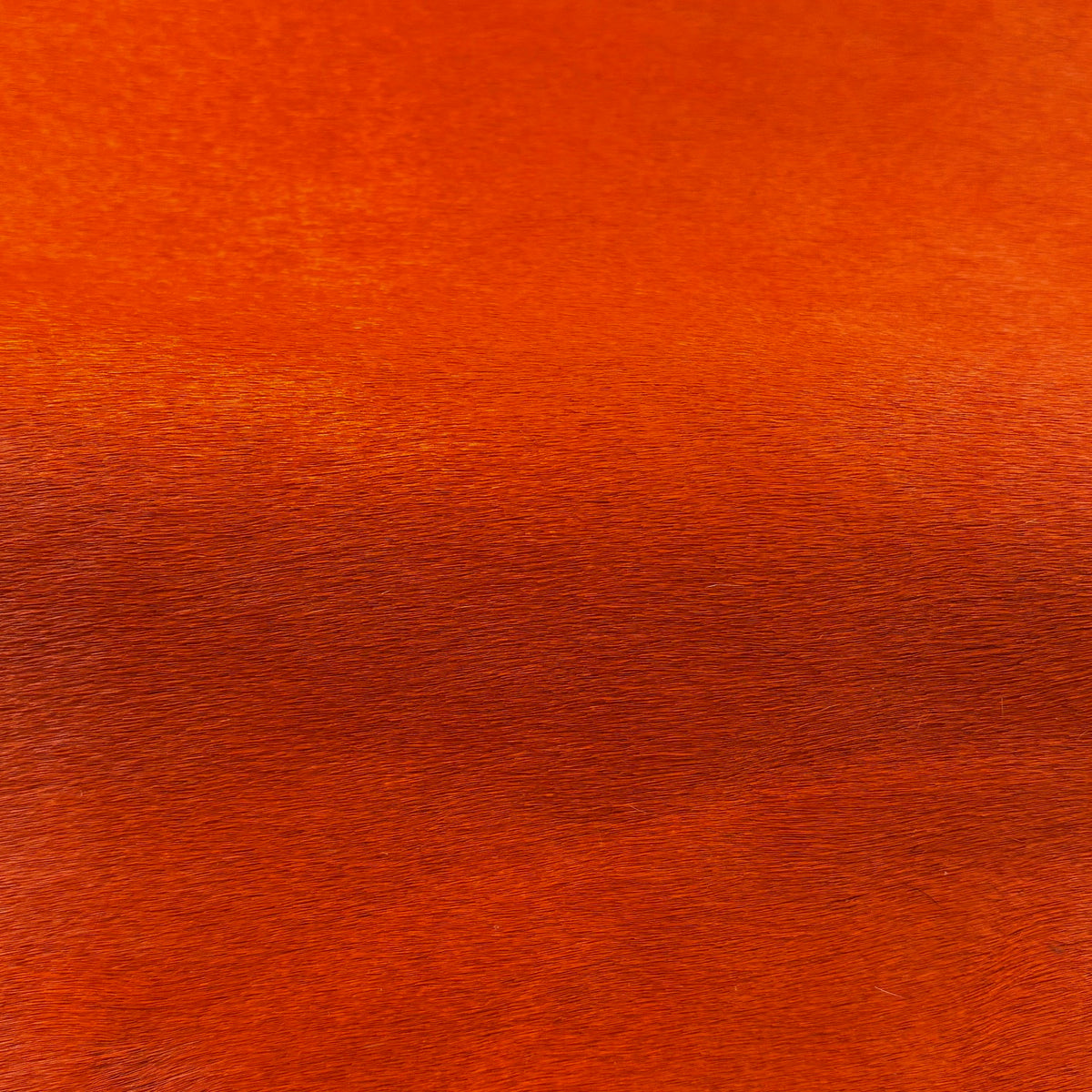 Hair-on Cow Hide | Ships in 2 weeks