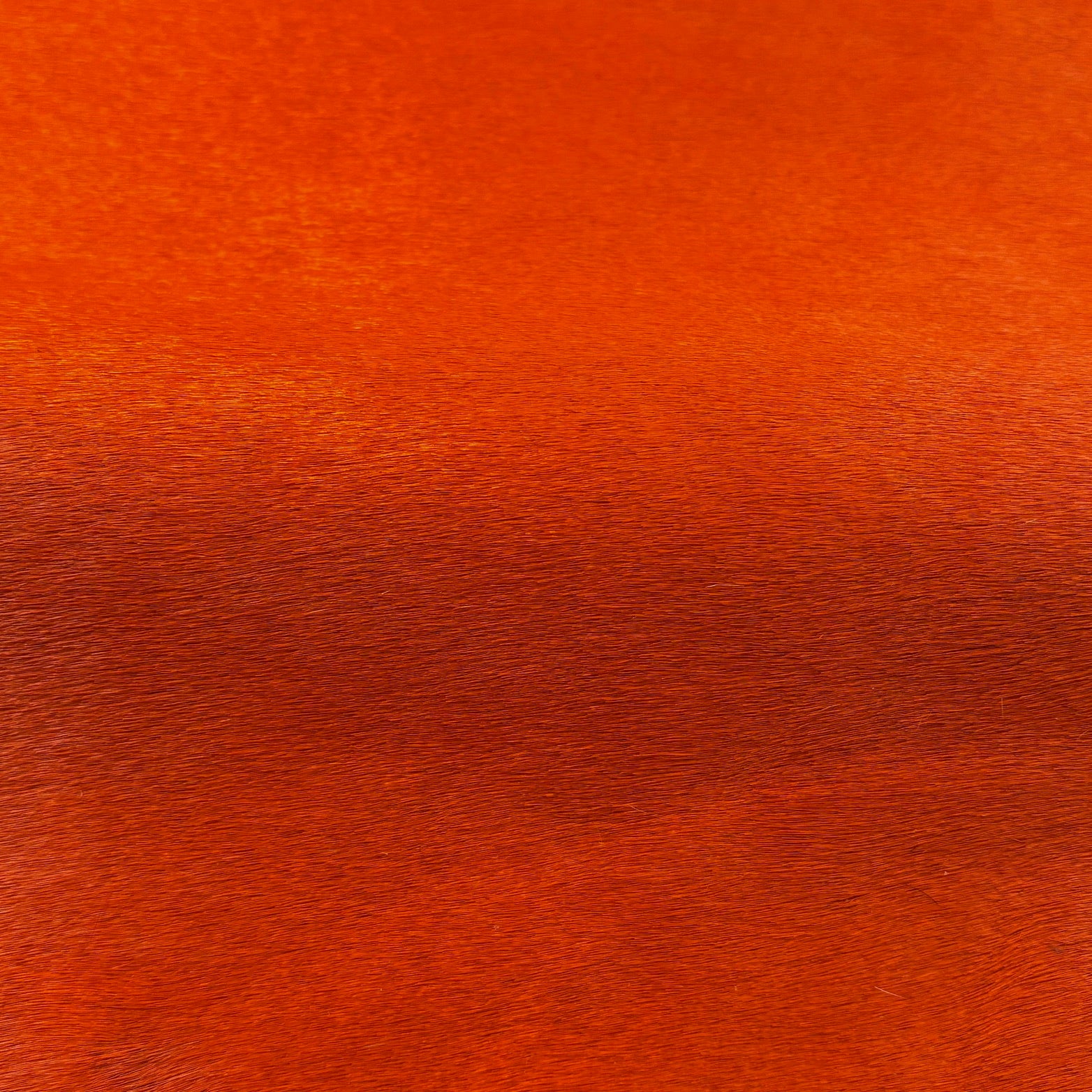 Hair-on Cow Hide | SAMPLES