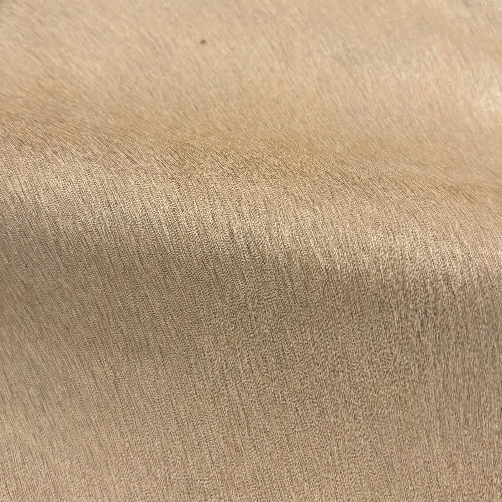 Hair-on Cow Hide | SAMPLES