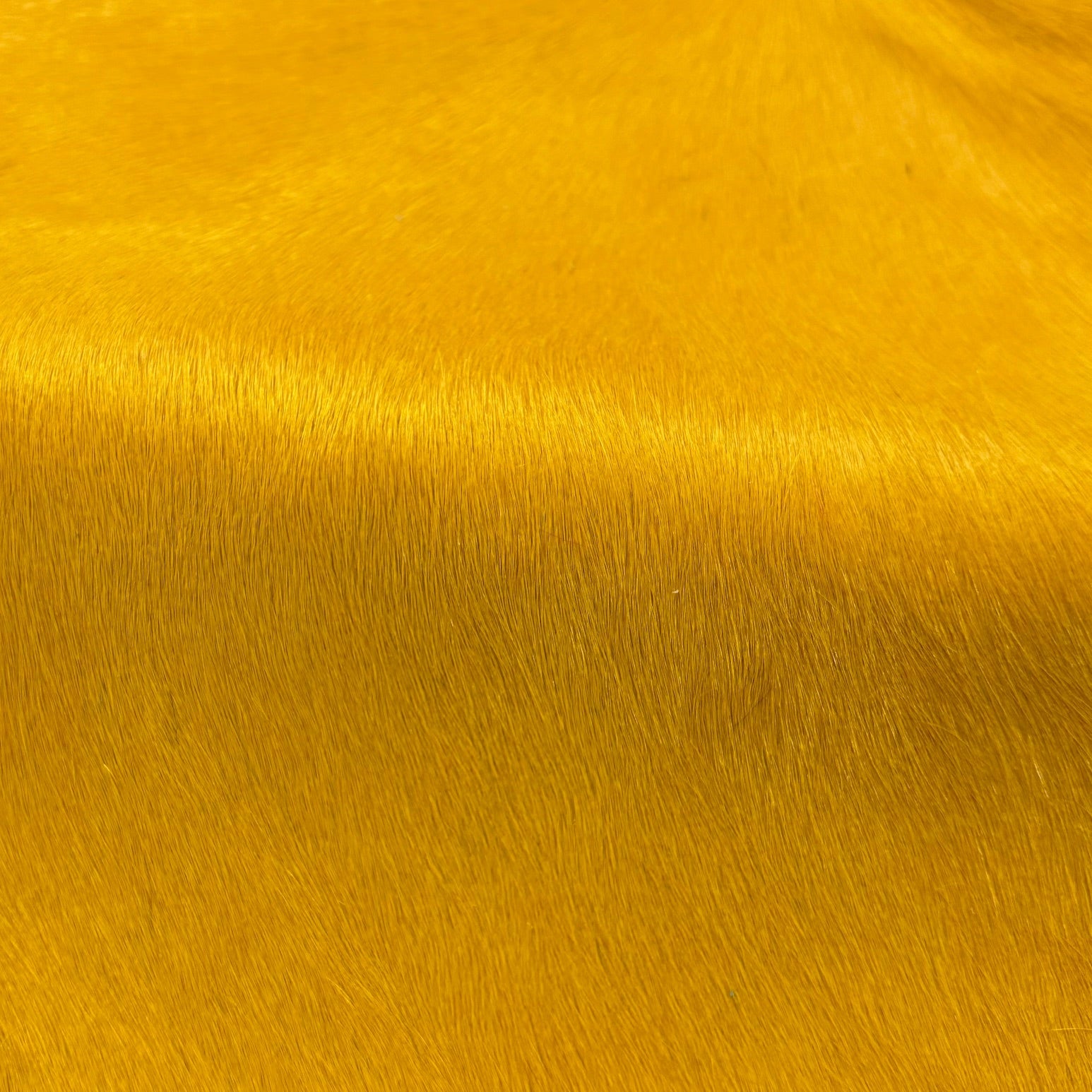 Hair-on Cow Hide | SAMPLES