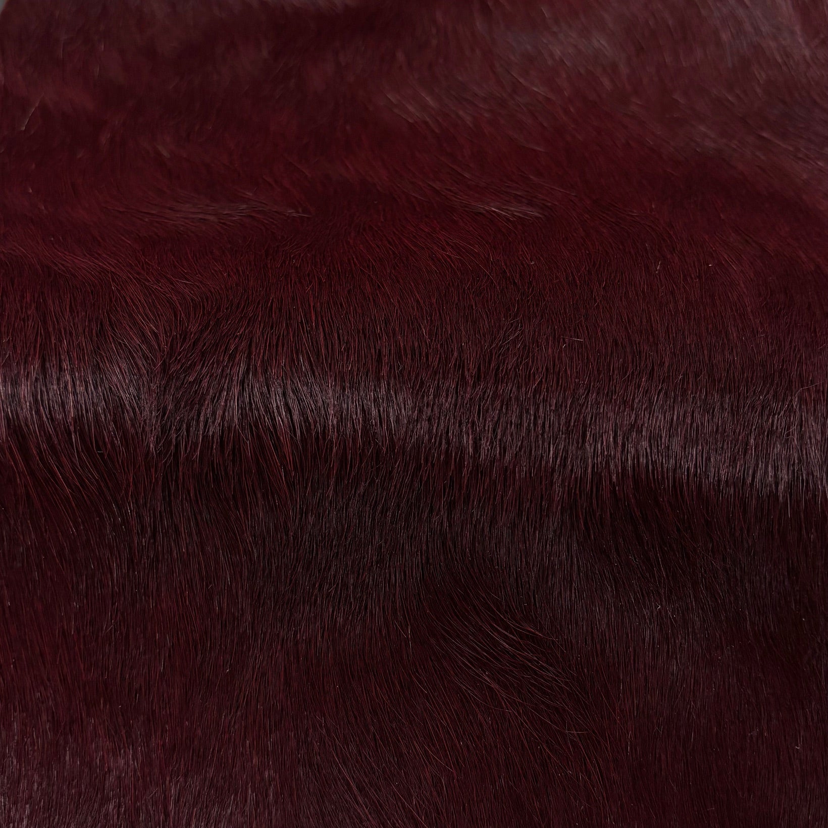 Hair-on Cow Hide | SAMPLES